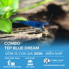 Combo 15 Bé Tép Blue Dream