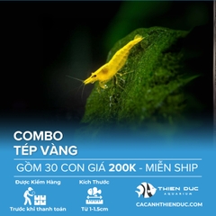 Combo 30 Bé Tép Vàng