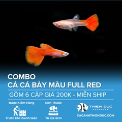 Combo 6 Cặp Cá Bảy Màu Full Red Size 3.5cm