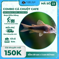 Combo Số 23 - Cá Chuột Café