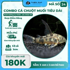 Combo Số 24 - Cá Chuột Muối Tiêu Vây Dài