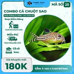 Combo Số 25 - Cá Chuột Sao