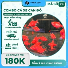 Combo Số 29 - Cá Secam Đỏ