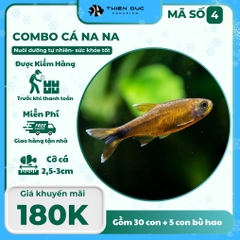 Combo Số 4 - Cá Nana
