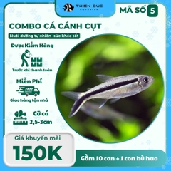 Combo Số 5 - Cá Cánh Cụt