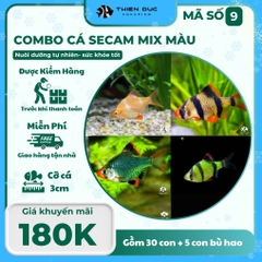 Combo Số 9 - Cá Secam Mix Màu
