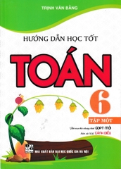 HƯỚNG DẪN HỌC TỐT TOÁN 6 - TẬP 1