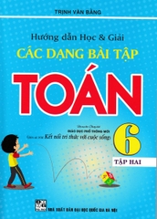 HƯỚNG DẪN HỌC VÀ GIẢI CÁC DẠNG BÀI TẬP TOÁN 6 - TẬP 2 (BÁM SÁT SGK KẾT NỐI TRI THỨC VỚI CUỘC SỐNG)