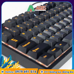 Bàn phím cơ Edra EK387FL Polar Night