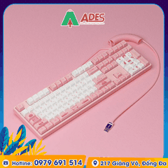 Dây cáp AKKO Coiled Cable (Black / White / Pink / Blue)