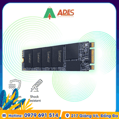 Ổ cứng SSD Lexar NM100 256GB M.2 2280 (LNM100-256RB)