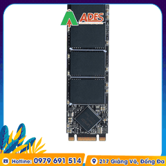 Ổ cứng SSD Lexar NM100 512GB M.2 2280 Sata III (LNM100-512RB)