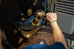 Cà phê rang Thailand PHU-709 - Rang Nhạt (Light Roast) - Blue in Green Coffee Roasters