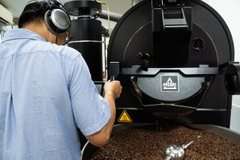 Cà phê rang Việt Nam - Liberica Luận & Lý - Rang Nhạt (Light Roast) - Blue in Green Coffee Roasters
