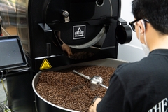Cà phê rang Thailand PHU-615 - Rang Omni (Omni Roast) - Blue in Green Coffee Roasters