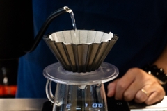 Cà phê rang Thailand PHU-615 - Rang Omni (Omni Roast) - Blue in Green Coffee Roasters