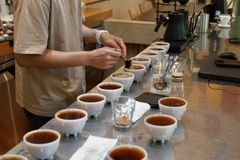 HOUSE BLEND - FRUITY - RANG VỪA