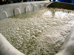 VIỆT NAM - RADAR FARM CATIMOR - RANG VỪA