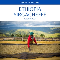 W- YIRGACHEFFE - RANG VỪA