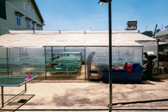 VIỆT NAM - LANGBIANG HONEY CATIMOR - RANG OMNI