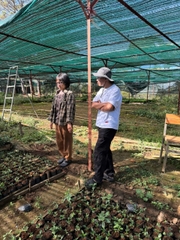 VIỆT NAM - NATURE'S GIFT CATIMOR - RANG NHẠT