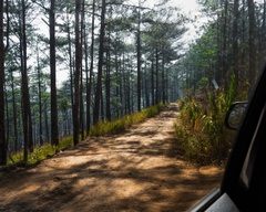 VIỆT NAM - ROBUSTA HONEY - RANG VỪA / ĐẬM