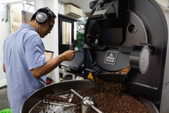 COLOMBIA - EXCELSO - RANG VỪA (MEDIUM ROAST)