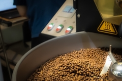 VIỆT NAM - LANGBIANG HONEY CATIMOR - RANG OMNI