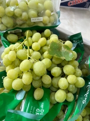 Nho Xanh Cá Mập