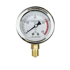 Đồng Hồ Đo Áp Suất Có Tiếp Điểm Điện YN-60