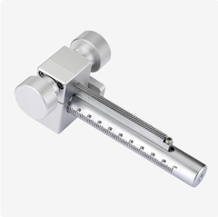 Bàn Trượt Trụ Nâng Z-Axis MSMZKB20