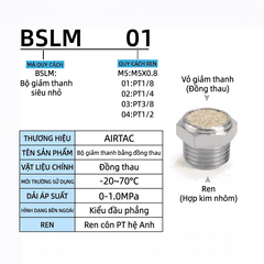 Bộ Giảm Âm Khí Nén BESL/BSL M5-01-04
