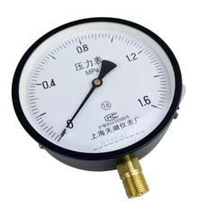 Đồng Hồ Đo Áp Suất Y150