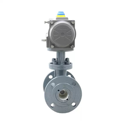 Van Bi Lệch Tâm Bằng Gốm Khí Nén PQ640TC-16
