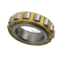 Vòng Bi Lệch Tâm NSK RN207