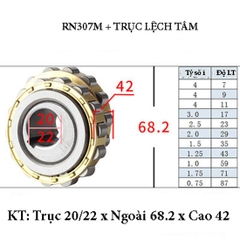 Vòng Bi Lệch Tâm RN307