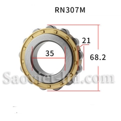 Vòng Bi Lệch Tâm RN307