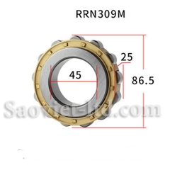 Vòng Bi Lệch Tâm RN309