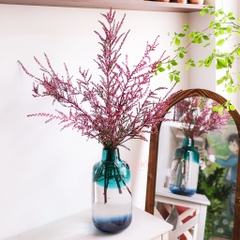 (Hoa Lẻ) Hoa Thanh Mai Hồng/Trắng Nhập Khẩu