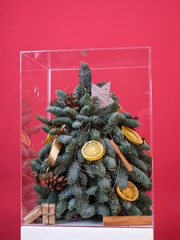 Hộp Thông Nhập Khẩu - Xmas Mica