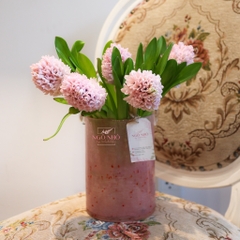 SET hoa thả bình 008 - Dạ Hương