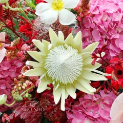 Kệ hoa tone đỏ mix thảo đường hoàng đế & vệ nữ