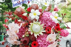 Kệ hoa tone đỏ mix thảo đường hoàng đế & vệ nữ