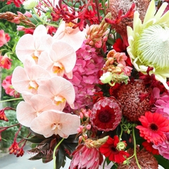 Kệ hoa tone đỏ mix thảo đường hoàng đế & vệ nữ