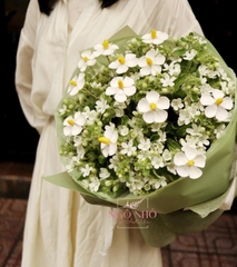 Bó hoa sao trắng mix hoa bướm gỗ