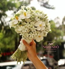 Bó hoa cưới sao trắng mix hoa bướm gỗ