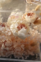 Hộp hoa khô size 24×27