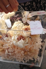 Hộp hoa khô size 24×27