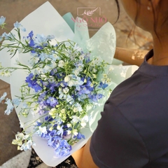 Bó hoa Tiểu Delphinium