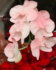 Giỏ hoa tông đỏ mix hồng